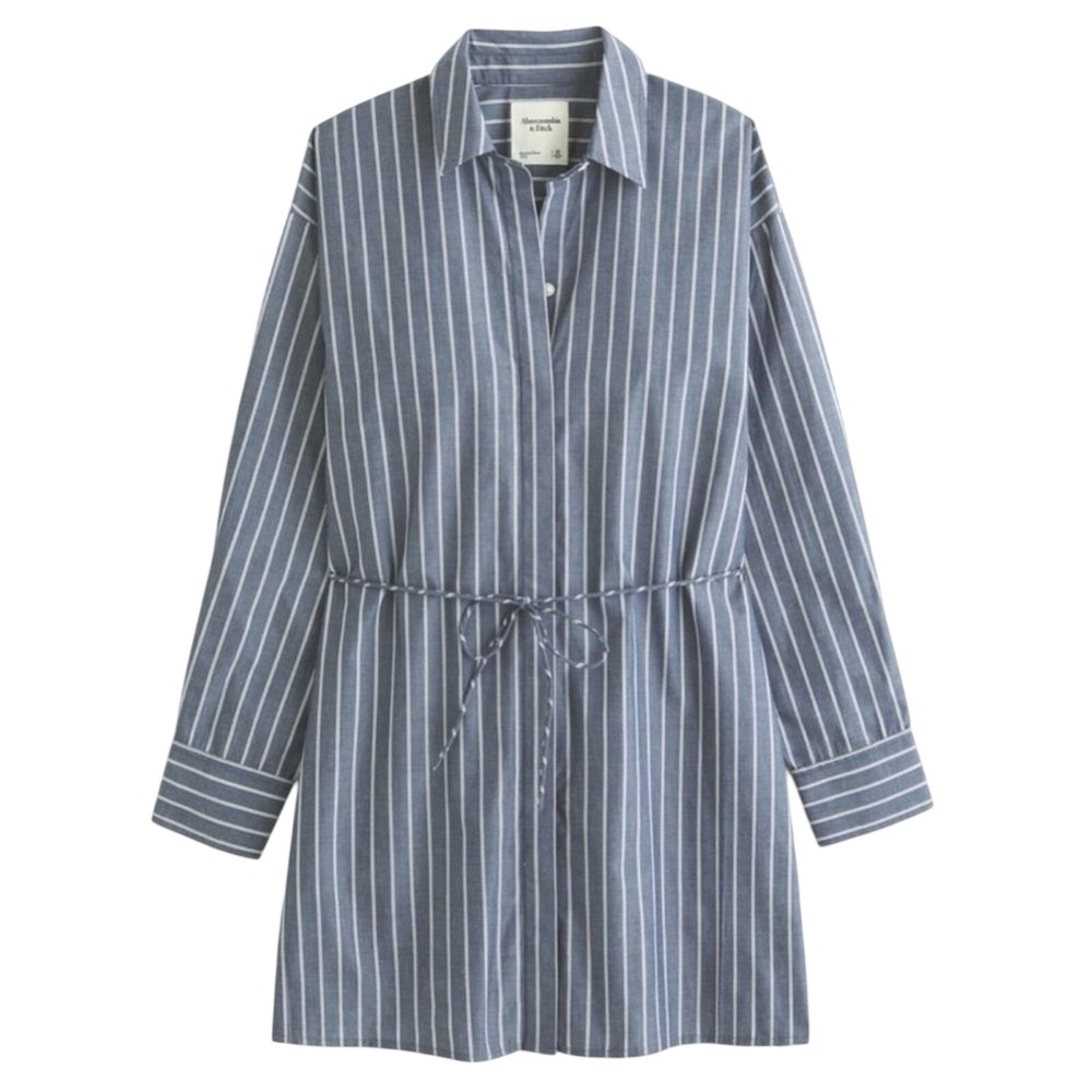 Abercrombie & Fitch Women's Poplin Shirtdress XLT Stripe‎ Buttondown Preppy NWT